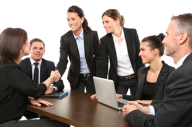 Meet the Team