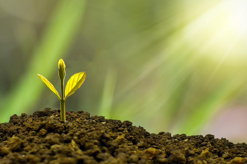 Sustainability News